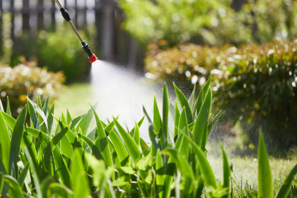 24/7 Emergency Termite Control experts in Pantego, TX
